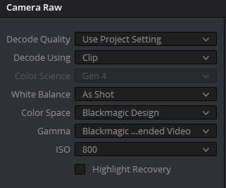 RawCorrectSettings